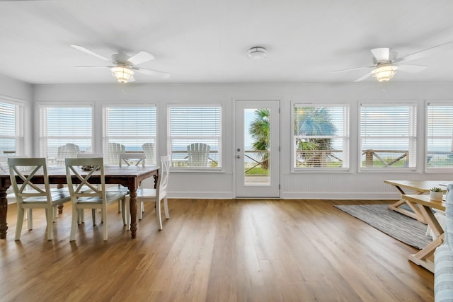 dining room featuring ceiling fan and light hardwood / wood-style flooring