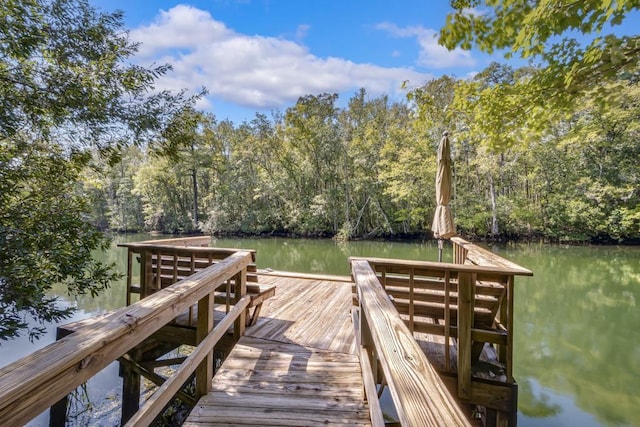 view of dock with a water view