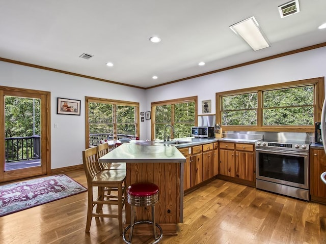 kitchen featuring sink, plenty of natural light, stainless steel appliances, kitchen peninsula, and light wood-type flooring