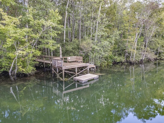 dock area featuring a water view