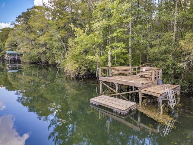 dock area featuring a water view