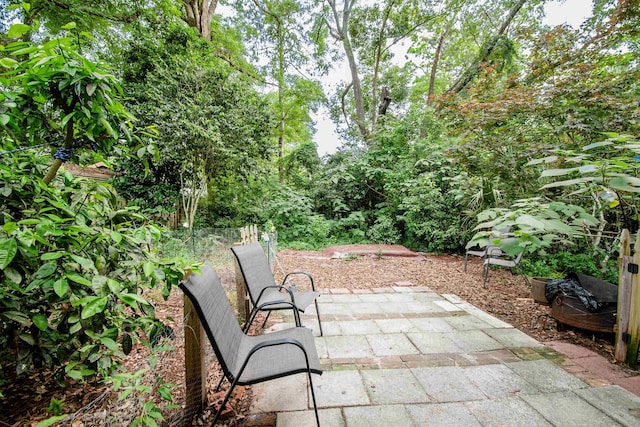 319 Gaile Ave, Tallahassee, FL 32305 - view of patio