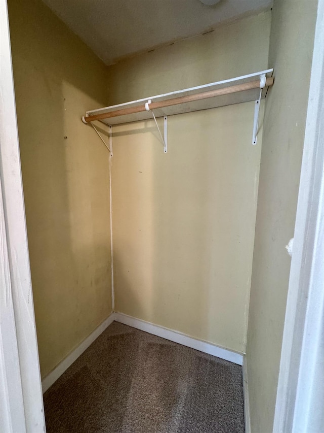 2755 Lake Bradford Rd, Tallahassee, FL 32310 - walk in closet with carpet floors