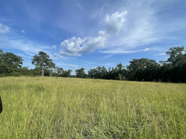 3439 Fla-Ga Hwy, Havana, FL 32333 - photo 2