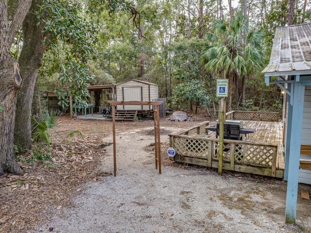 view of yard featuring a shed