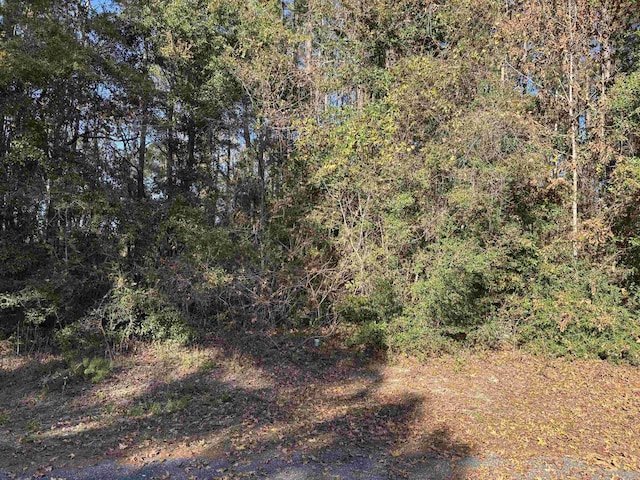 LOT6 Magpie Trl, Crawfordville FL, 32327 land for sale