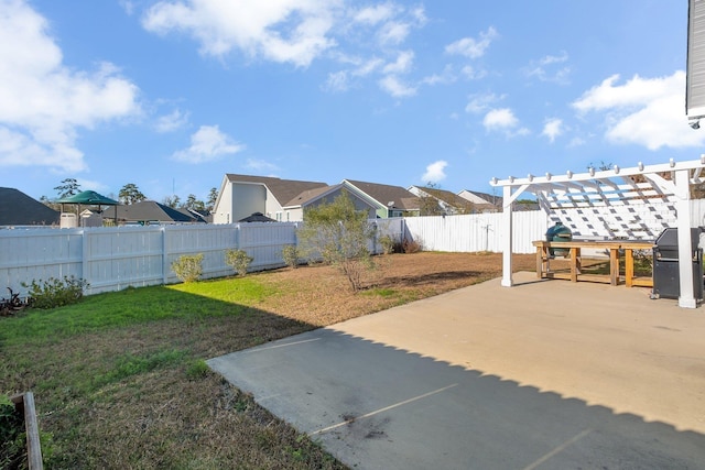 view of yard featuring a patio area