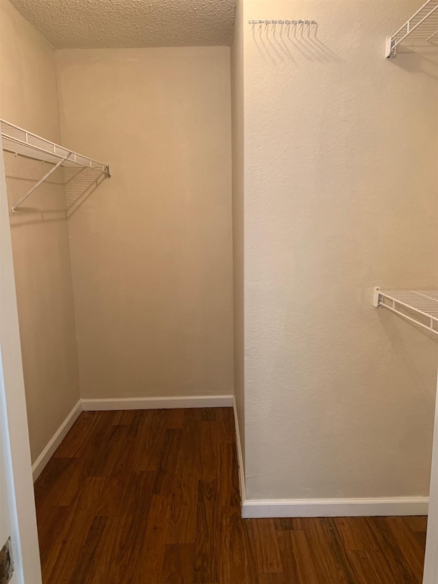 spacious closet featuring wood finished floors