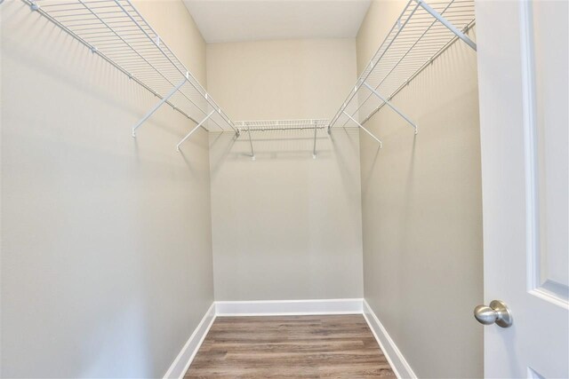 5699 Pinebarren Rd, Tallahassee, FL 32303 - photo 21