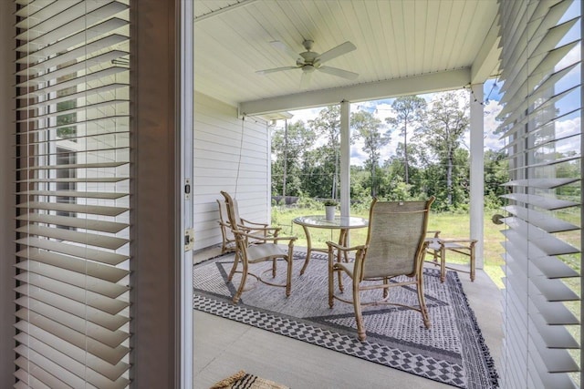 5699 Pinebarren Rd, Tallahassee, FL 32303 - photo 7