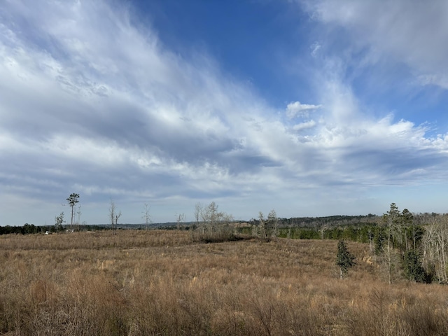 322 Graceland Rd, Chattahoochee, FL 32324 - view of landscape with a rural view