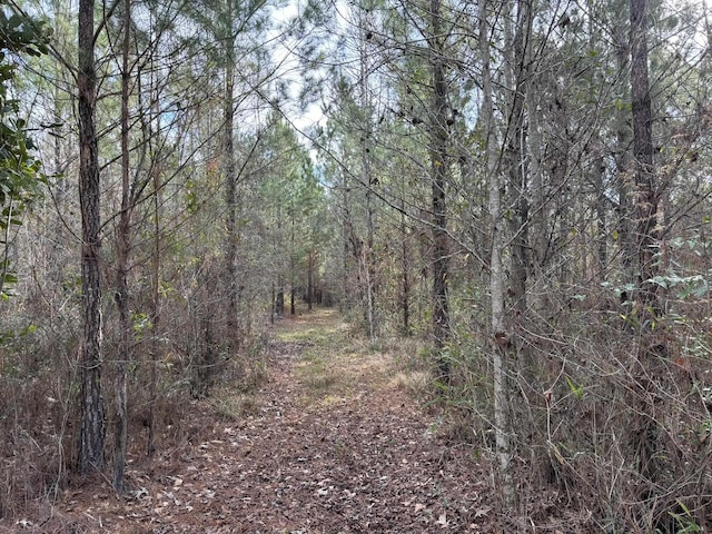 322 Graceland Rd, Chattahoochee, FL 32324 - view of nature with a view of trees