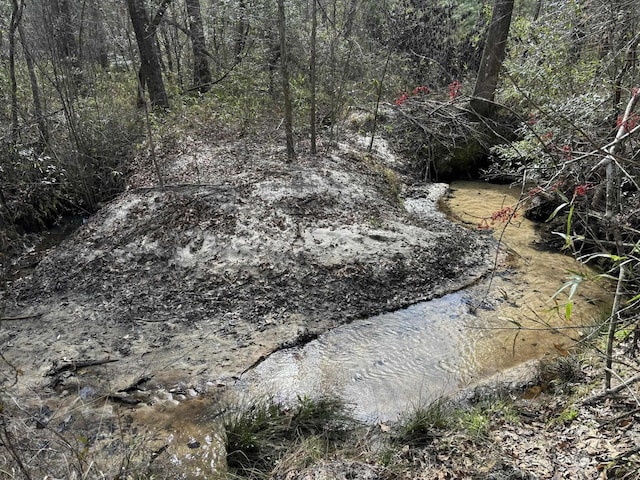 322 Graceland Rd, Chattahoochee, FL 32324 - view of landscape featuring a wooded view