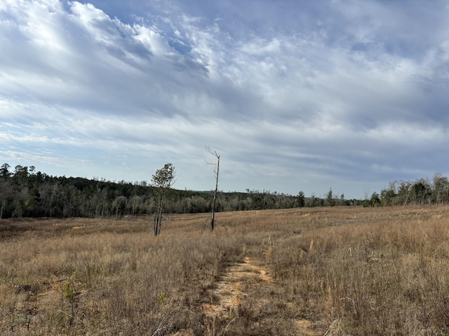 322 Graceland Rd, Chattahoochee, FL 32324 - view of nature featuring a rural view