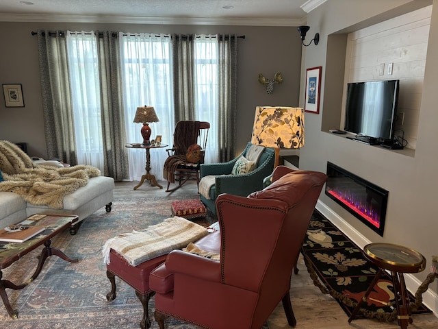 322 Graceland Rd, Chattahoochee, FL 32324 - living room with a glass covered fireplace, crown molding, and wood finished floors