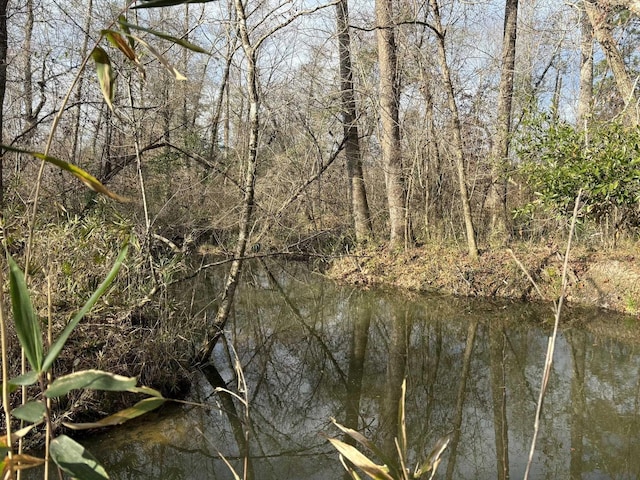 322 Graceland Rd, Chattahoochee, FL 32324 - view of local wilderness with a wooded view