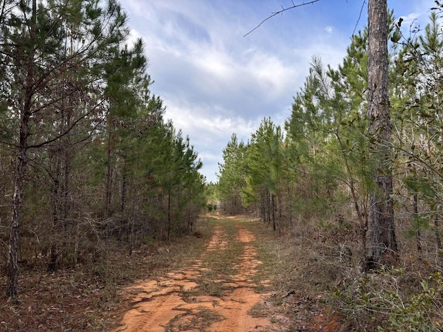 322 Graceland Rd, Chattahoochee, FL 32324 - view of landscape with a wooded view
