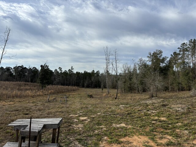 322 Graceland Rd, Chattahoochee, FL 32324 - view of yard