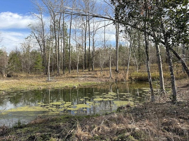 322 Graceland Rd, Chattahoochee, FL 32324 - view of local wilderness featuring a water view