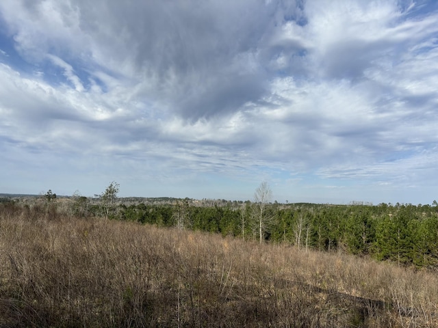 322 Graceland Rd, Chattahoochee, FL 32324 - view of landscape