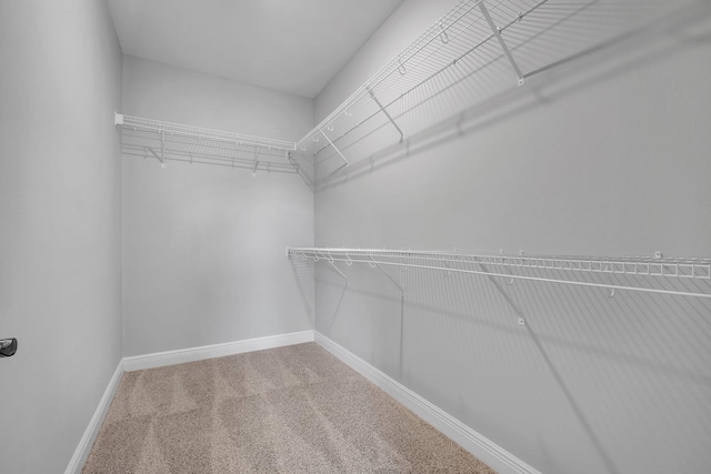 spacious closet with carpet flooring