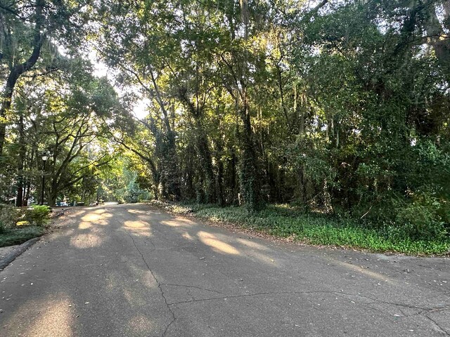 0 Shangri La Ln, Tallahassee, FL 32303 - photo 4