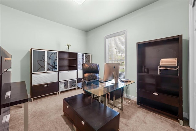 1821 Woodgate Way, Tallahassee, FL 32308 - photo 26