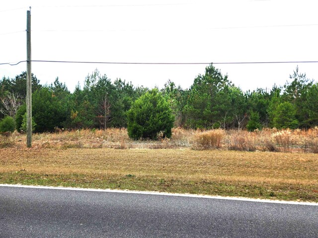 XXX NW Freeman Rd, Bristol FL, 32321 land for sale