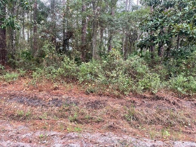 Listing photo 2 for XXX Chipola St, Panacea FL 32346