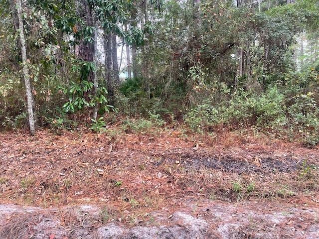 Listing photo 3 for XXX Chipola St, Panacea FL 32346