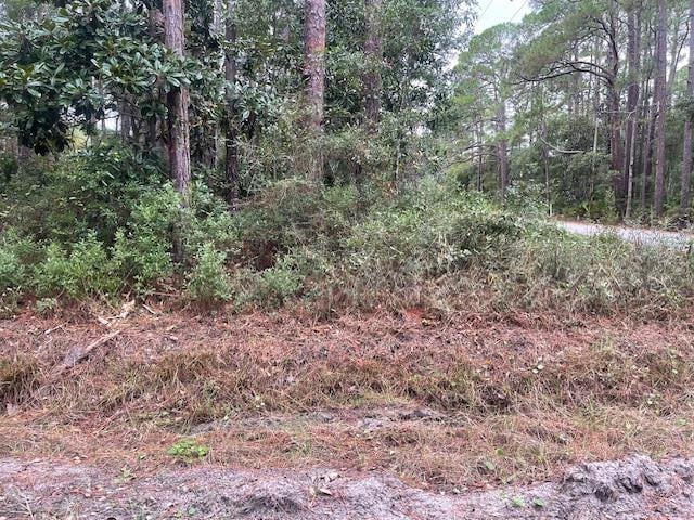 XXX Chipola St, Panacea FL, 32346 land for sale