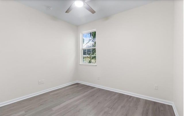 2119 Wakulla St, Tallahassee, FL 32310 - photo 15
