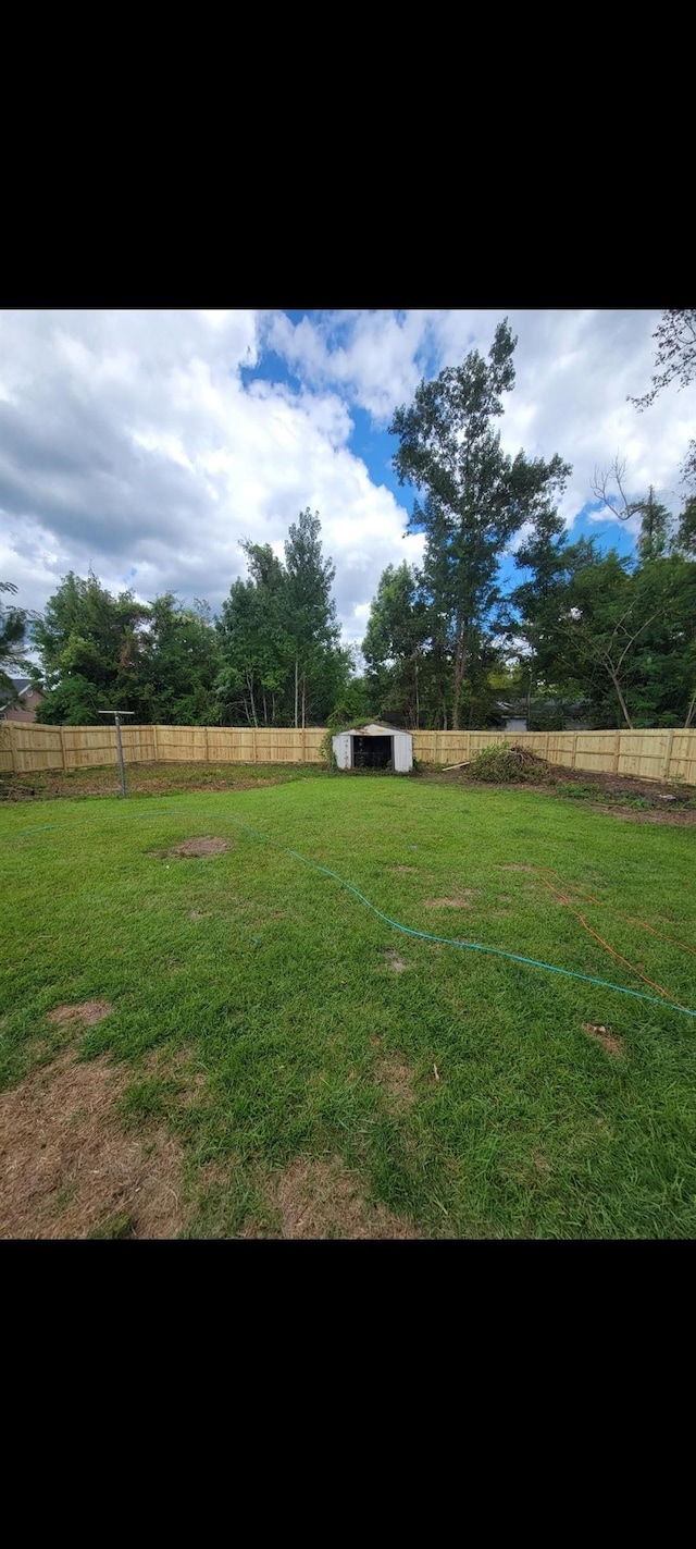 16619 SW Gaskin St, Blountstown, FL 32424 - view of yard with a storage shed and an outbuilding