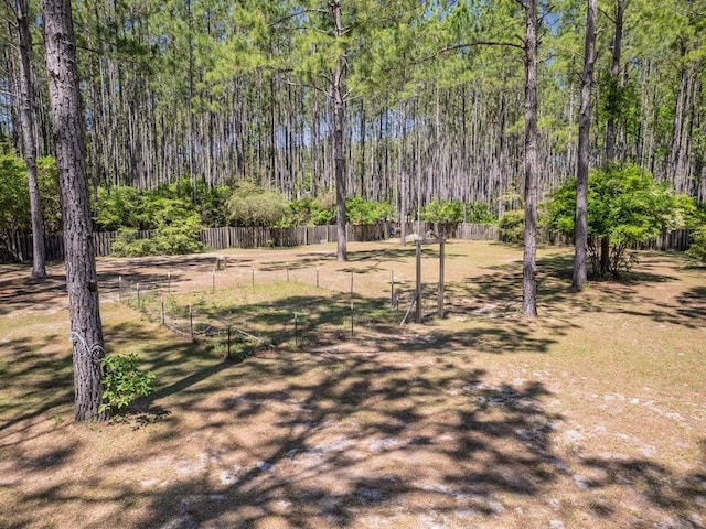 559 E Ivan Rd, Crawfordville, FL 32327 - photo 13