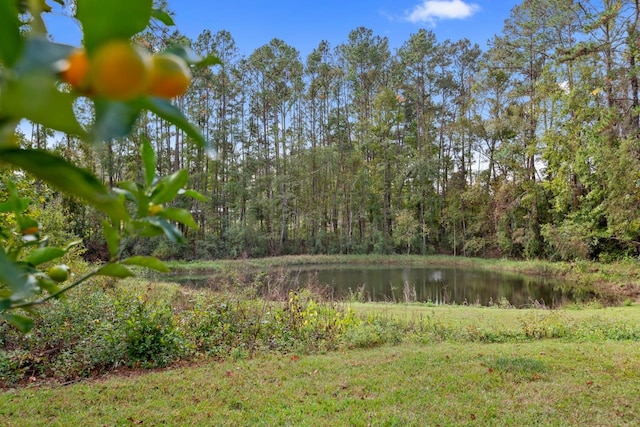 view of local wilderness with a water view