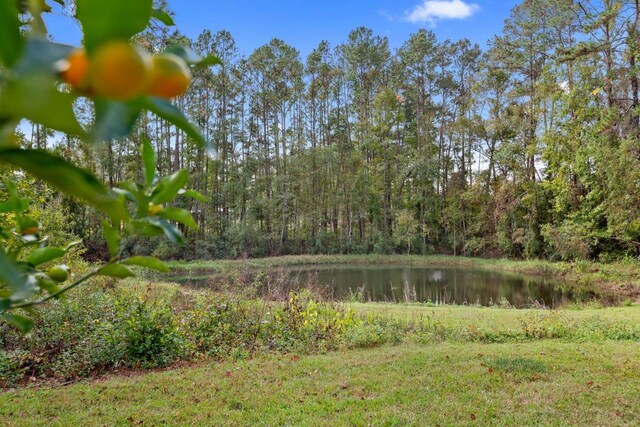 3827 N Jefferson St, Monticello, FL 32344 - photo 5