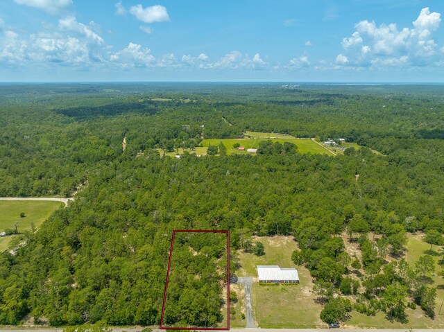 252 Rice Rd, Chattahoochee, FL 32324 - photo 6