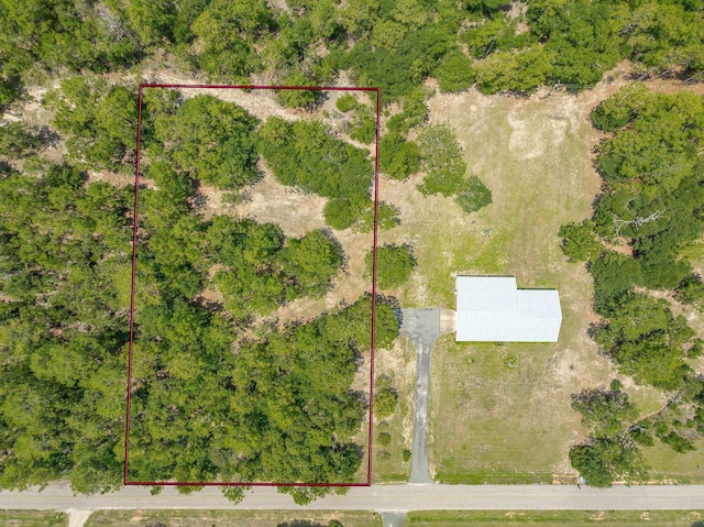 252 Rice Rd, Chattahoochee, FL 32324 - photo 5