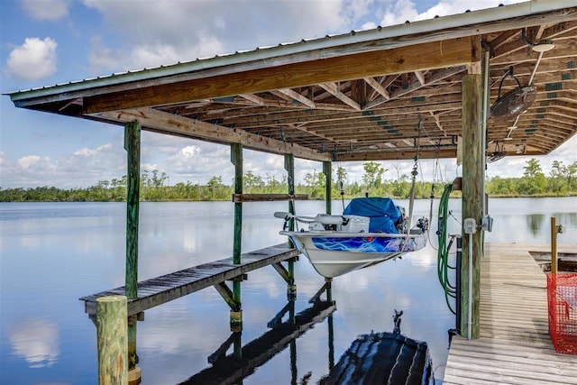 dock area with a water view