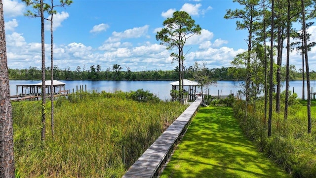 dock area featuring a water view