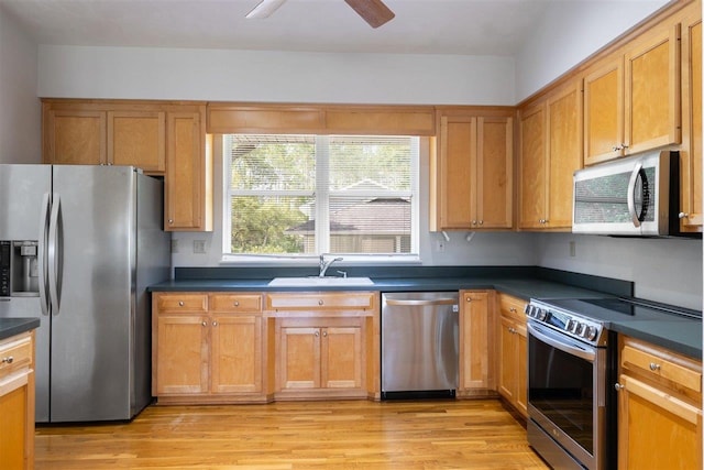 kitchen featuring ceiling fan, light wood-type flooring, sink, and appliances with stainless steel finishes