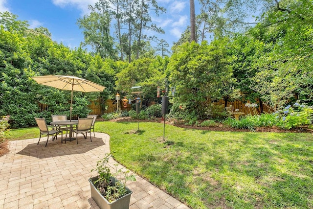 2031 Windsor Oaks Ct, Tallahassee, FL 32308 - view of yard featuring a patio area