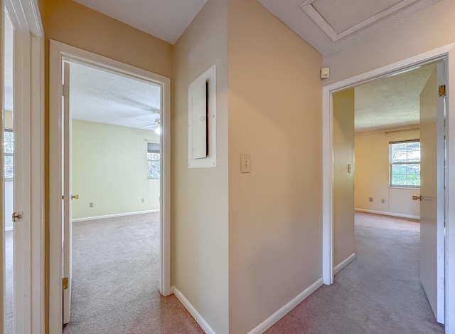 corridor with electric panel, light colored carpet, and baseboards