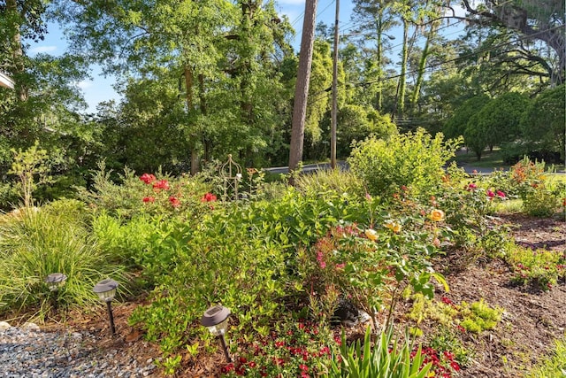 1906 Skyland Dr, Tallahassee, FL 32303 - photo 36