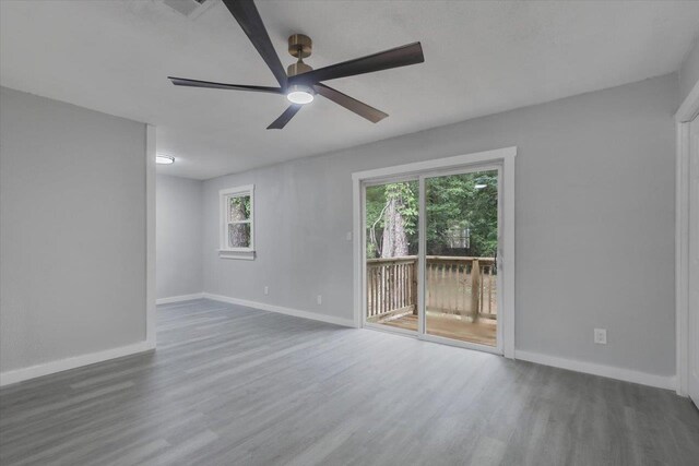 2916 Jim Lee Rd, Tallahassee, FL 32301 - photo 4