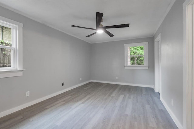 2916 Jim Lee Rd, Tallahassee, FL 32301 - photo 24