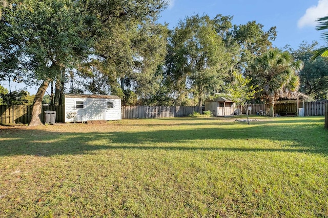 view of yard with a storage shed