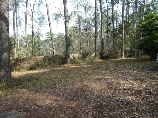 7091 Thomasville Rd, Tallahassee, FL 32312 - photo 14