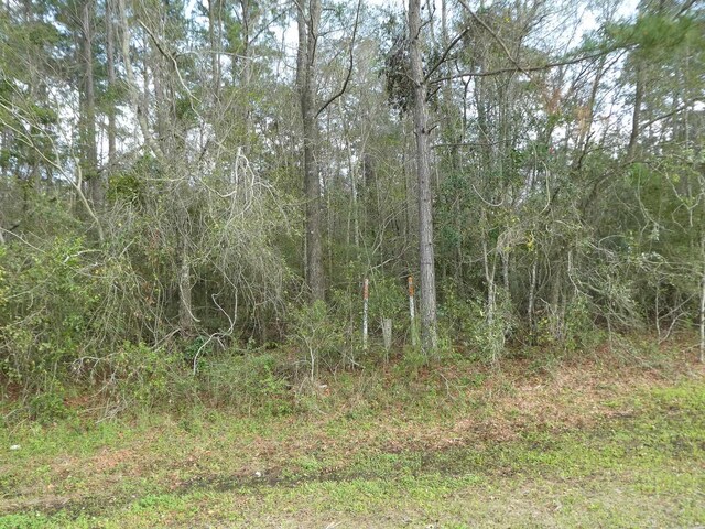 7091 Thomasville Rd, Tallahassee, FL 32312 - photo 25