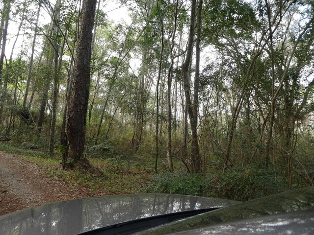 7091 Thomasville Rd, Tallahassee, FL 32312 - photo 17